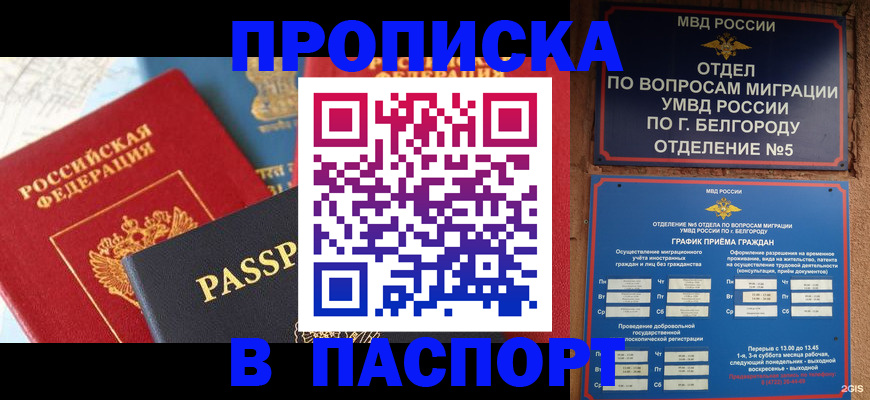 временная регистрация надежно в Калуге